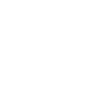 engineer icon